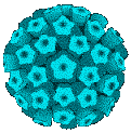 HPV VIRUS STILIZZATO