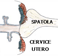 INGRANDIMENTO DELLA FASE DEL PRELIEVO