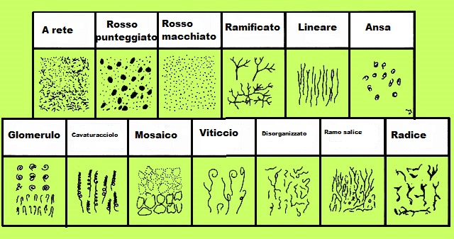 SCHEMI VASI CERVICALI
