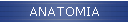 ANATOMIA