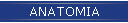 ANATOMIA