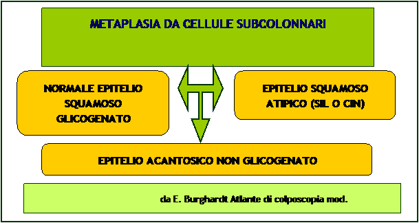 Esito pap test per piacere aiutatemi :.